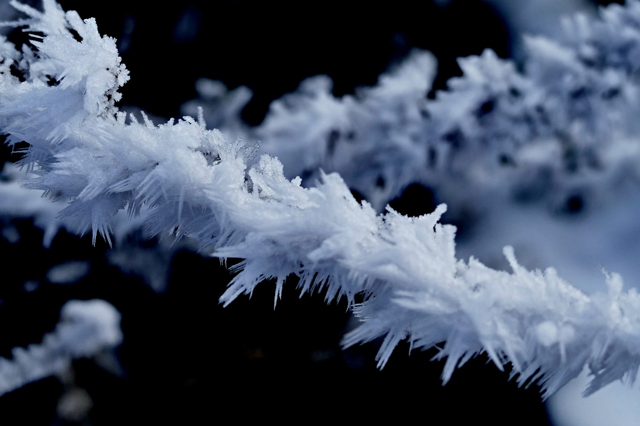 Image - frost winter icing nature texture