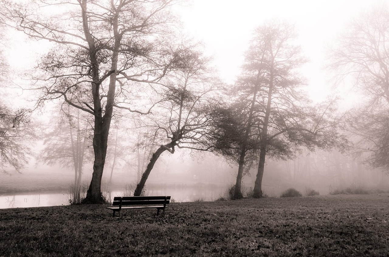 Image - december fog landscape nature
