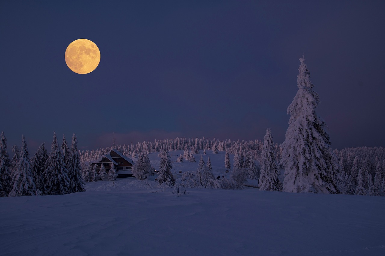 Image - snow winter cold frozen wintry