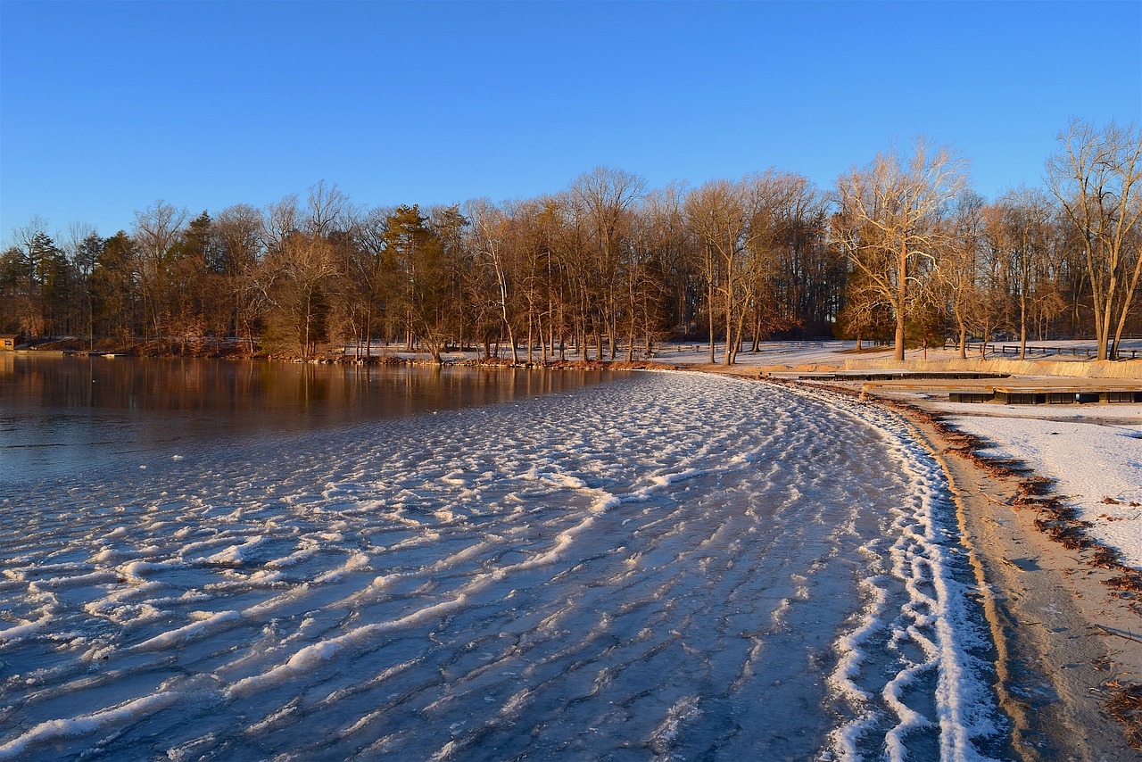 Image - lake frozen trees shore beach