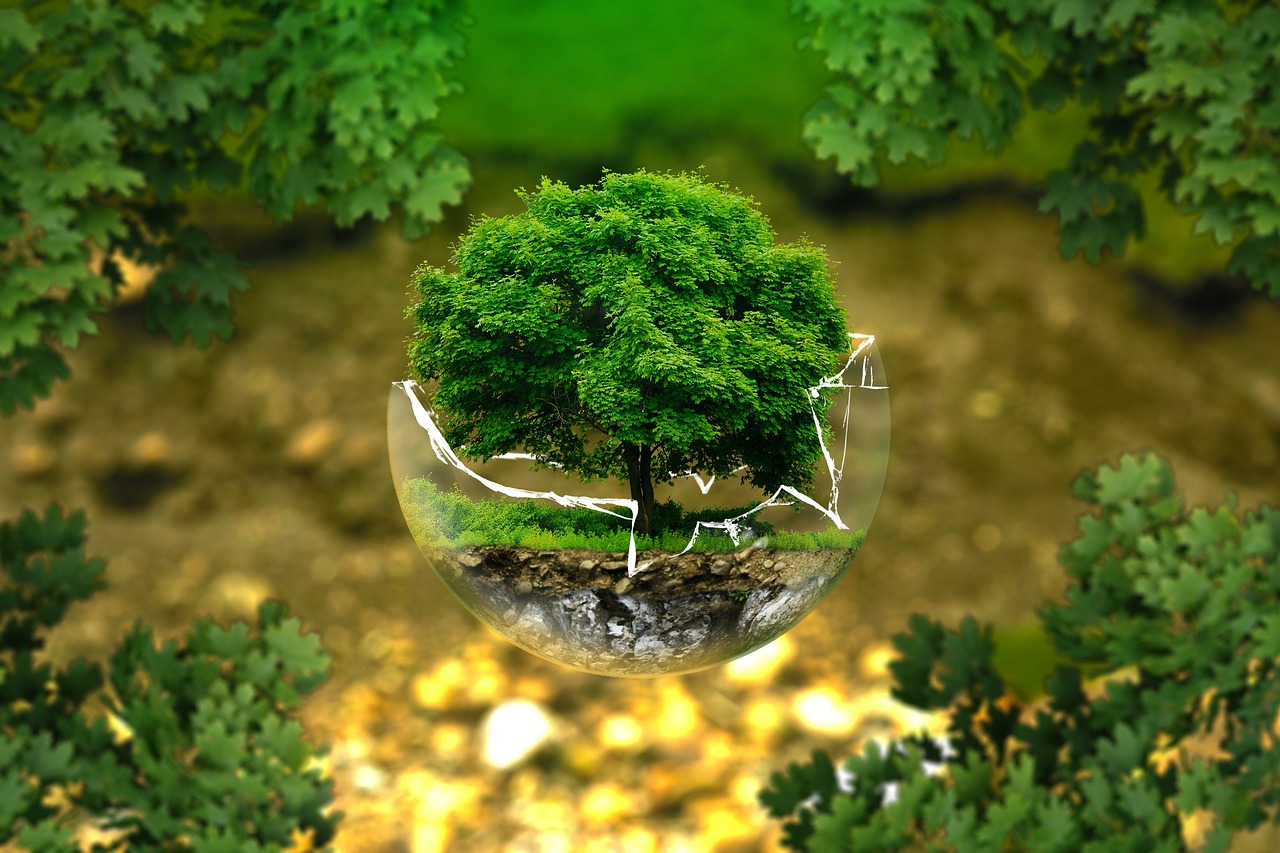 Image - environmental protection