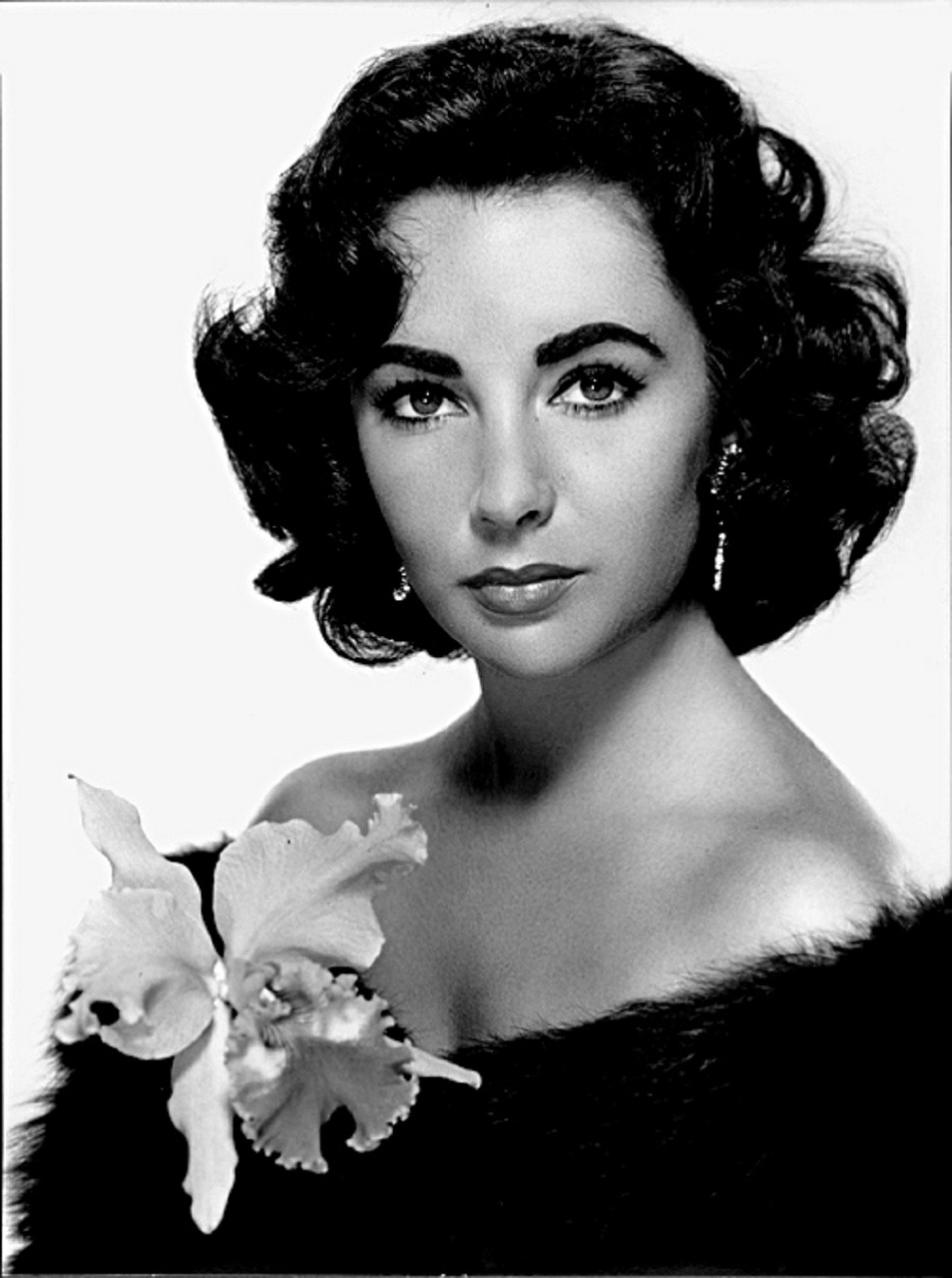 Image - elizabeth taylor actress