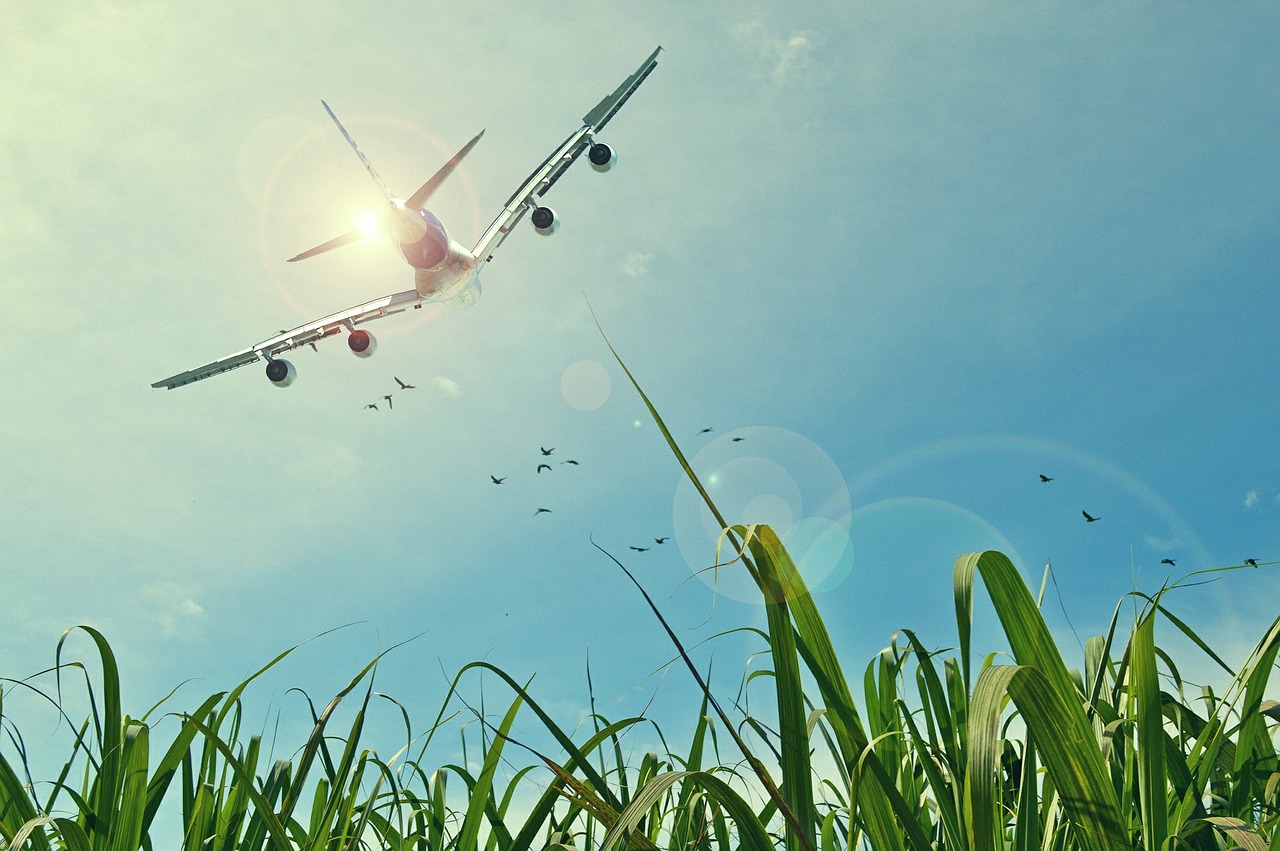 Image - aircraft flight sky grassland
