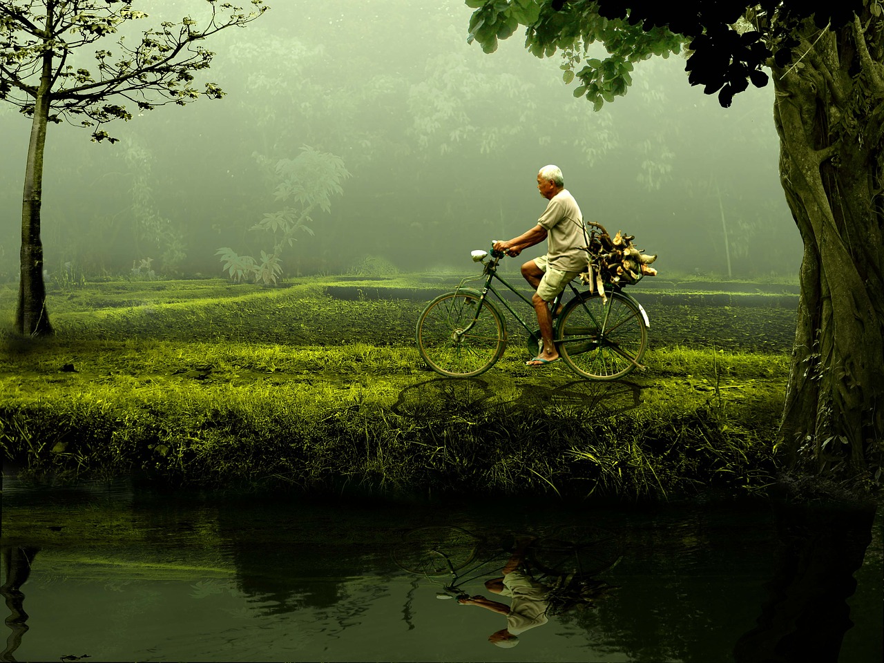 Image - man old bike nature green