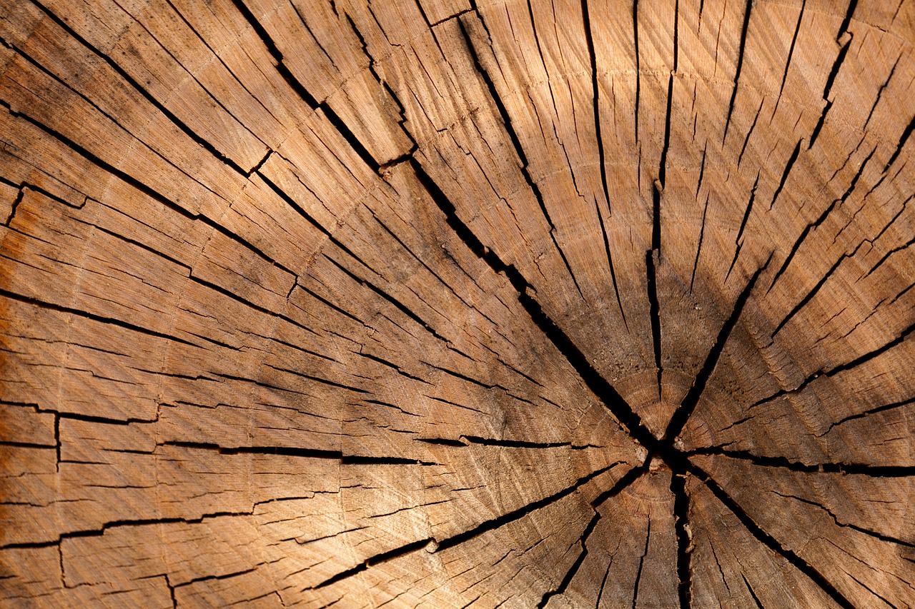 Image - background brown circle cut detail